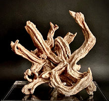 Load image into Gallery viewer, SOLD       LISA CONWAY FINE CERAMICS: ROOTED GROUNDED STRONG
